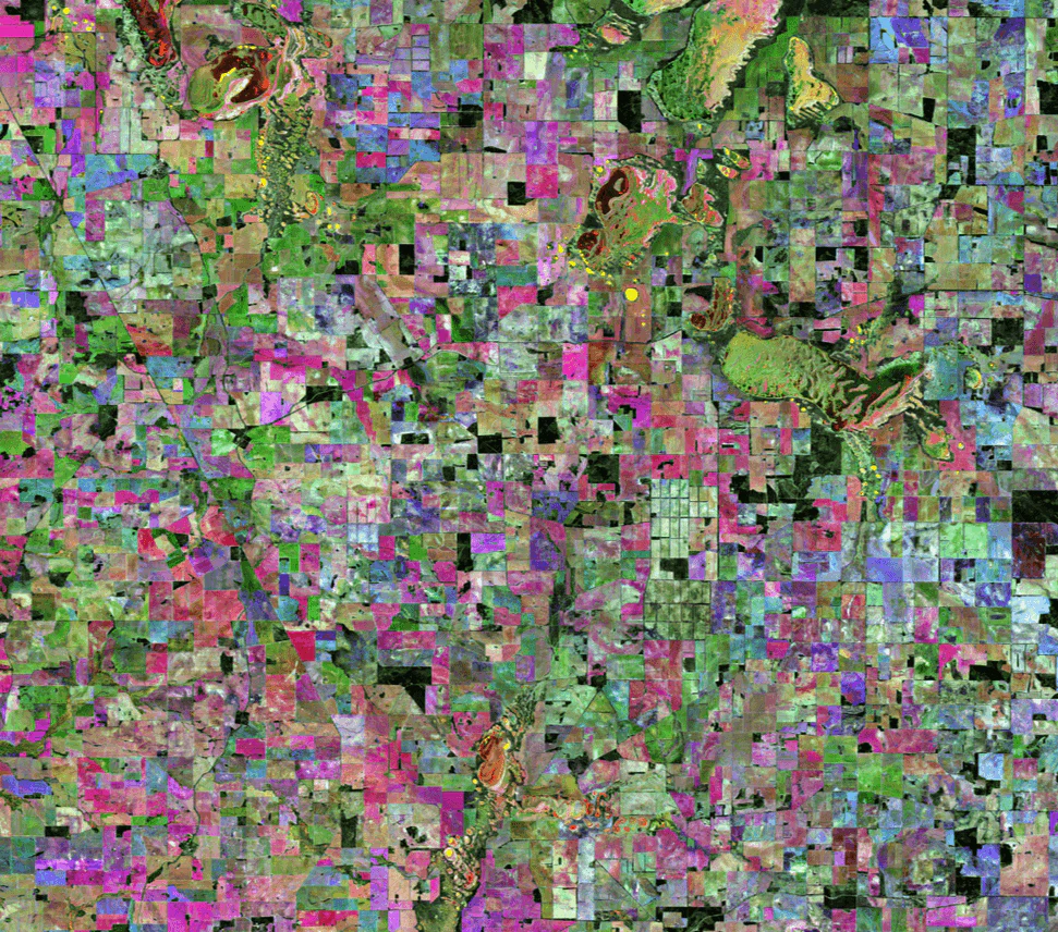 Australia ESA x TAMMAM Organic Cotton Scarf - Image 3