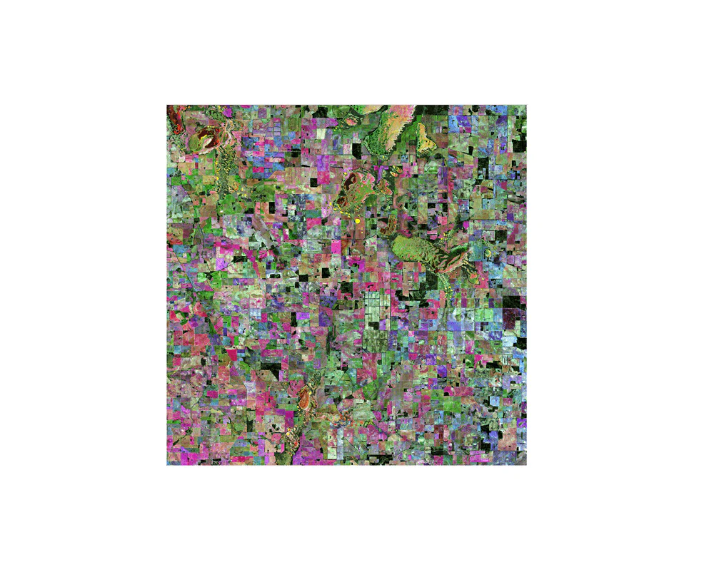 Australia ESA x TAMMAM Organic Cotton Scarf - Image 6