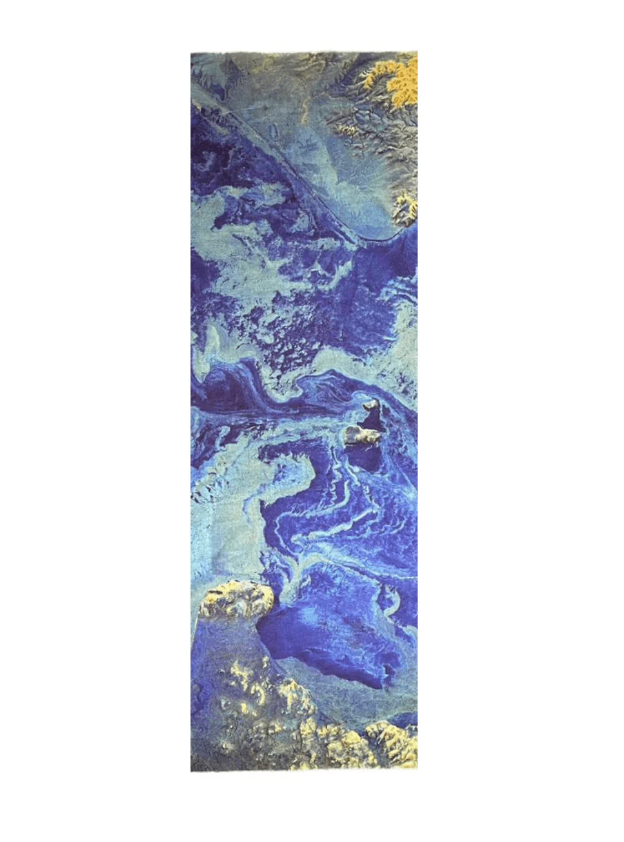 Bering ESA x TAMMAM Silk Scarf - Image 3