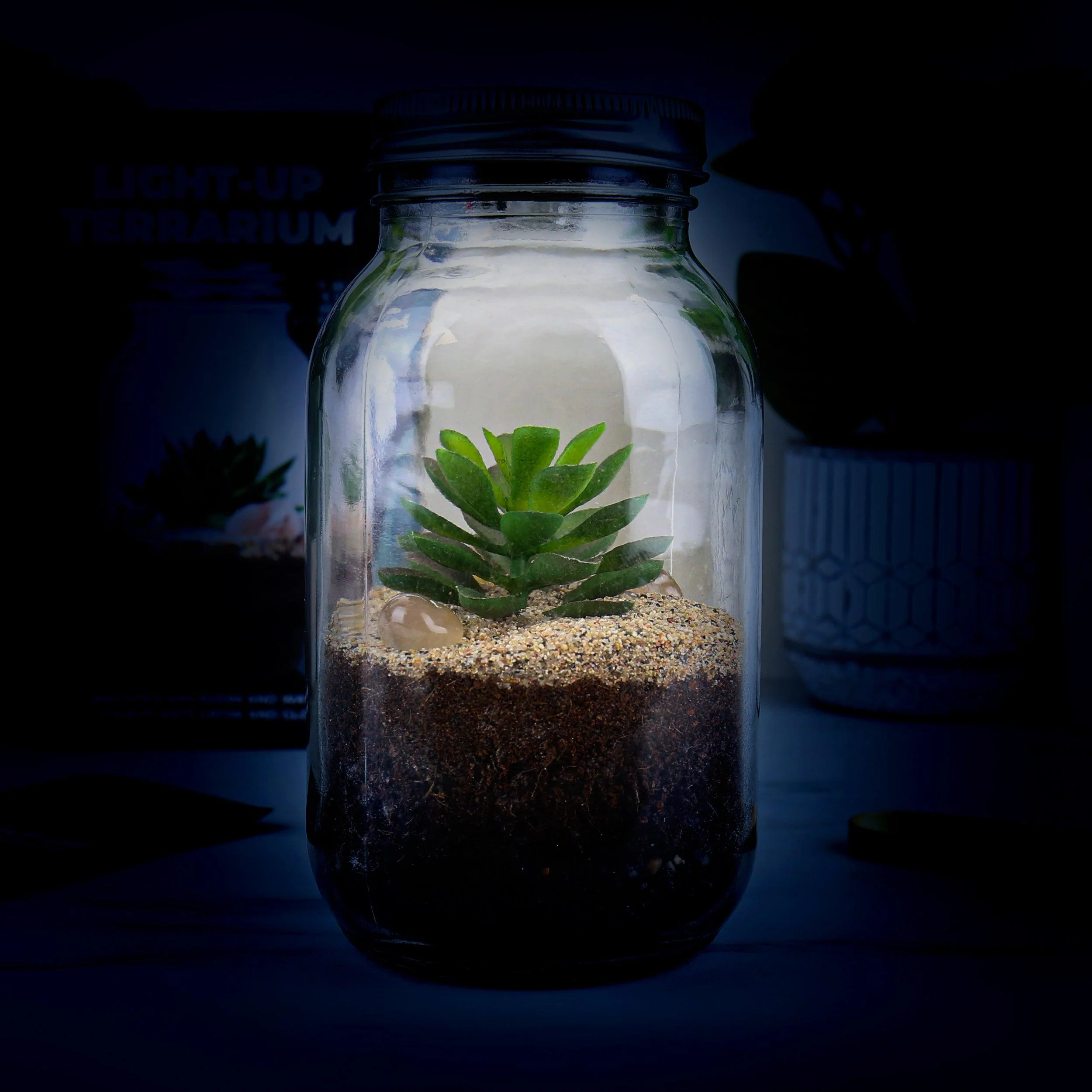 Terrarium Light Up Solar Powered - Image 5